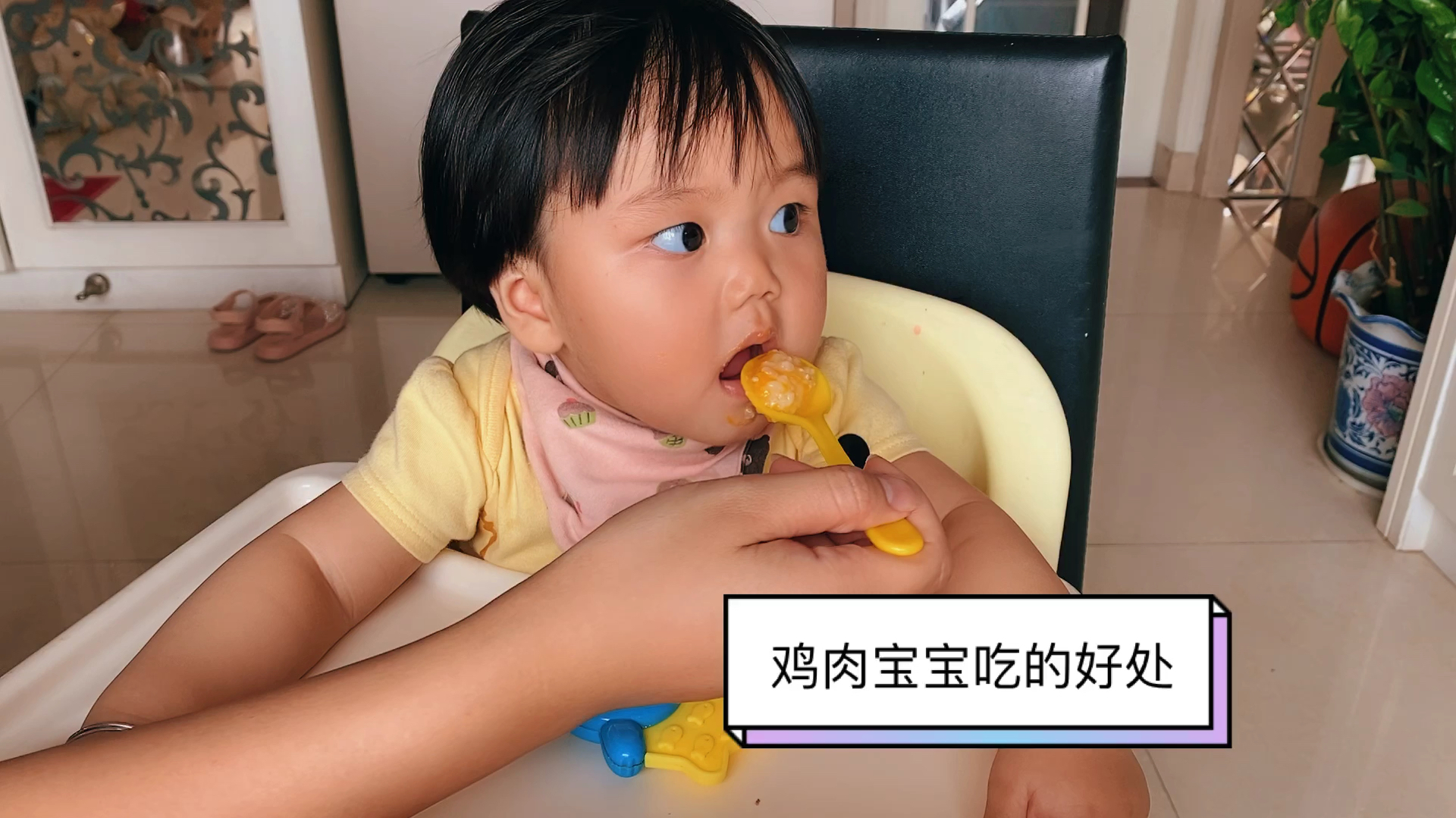 鸡腿南瓜粥,鸡肉含丰富牛磺酸,南瓜补充维生素A,营养价值高