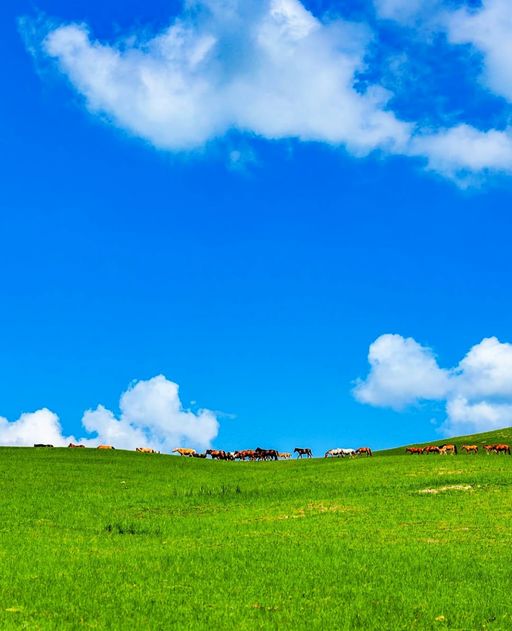 蓝天白云.青山绿水