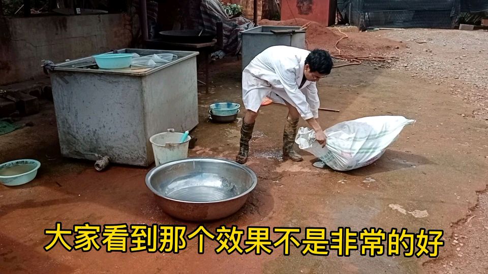 养殖场的头号隐藏杀手,鸡生病基本都是因为它,该怎样处理