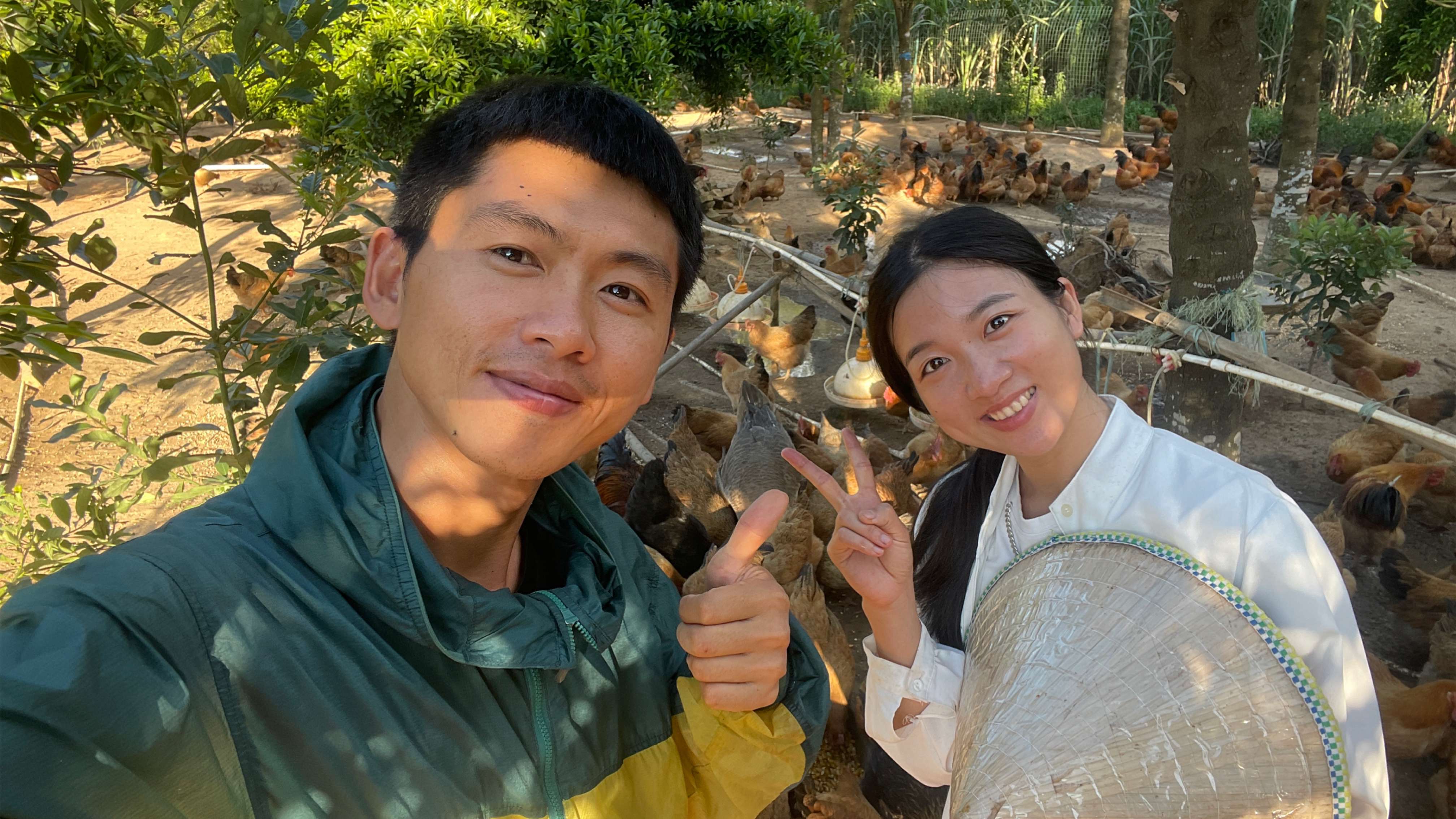 阿旺赶海抓鱼喂鸡,村花煮满满一锅,上千只鸡抢着吃,场面真壮观