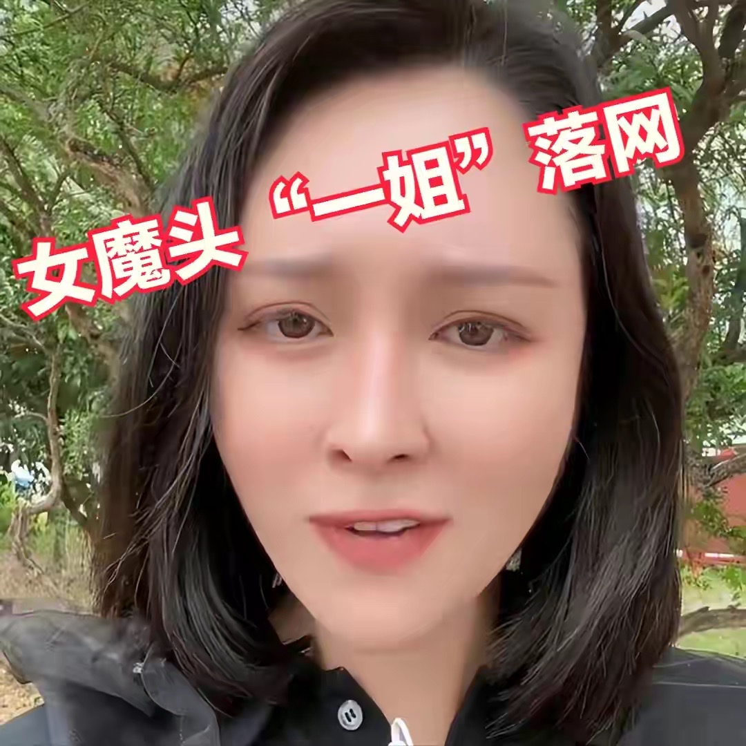 大案告破!境外电诈巨头"一姐"落网