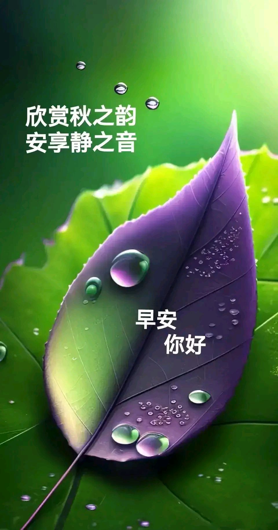 秋诗秋词秋乐章 秋果秋粮秋满仓 秋去秋来祝安康     早上好!