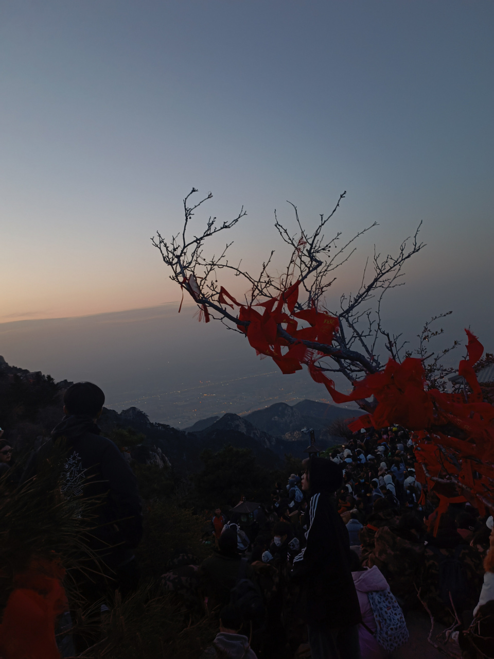 你的精神支柱是什么