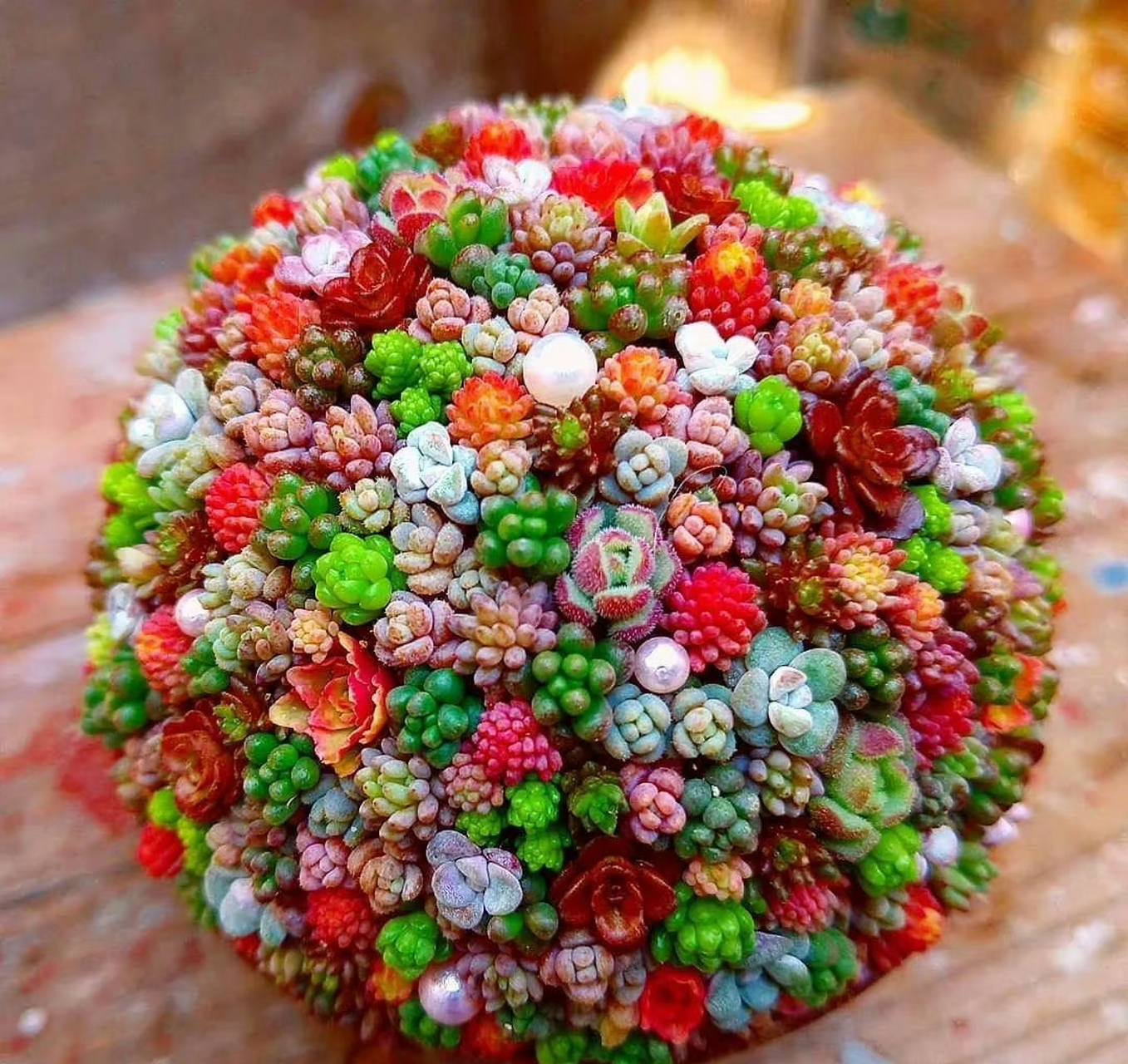 看看人家多肉植物爱好者打理的肉球球,简直太漂亮了! 67