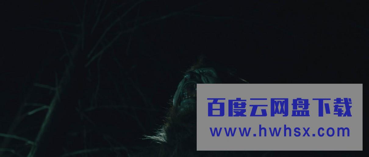 2021恐怖剧情《野兽的黎明》1080p.BD高清中字4K|1080P高清百度网盘
