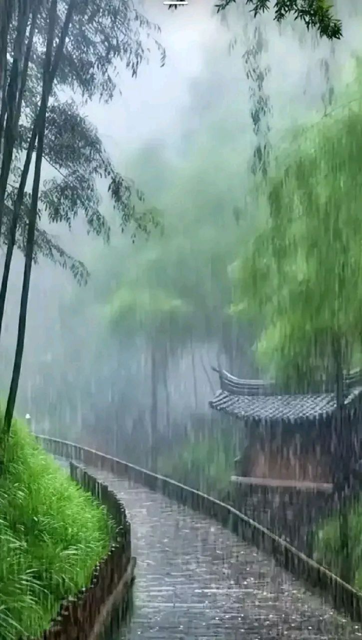 下雨古风竹林图片唯美图片