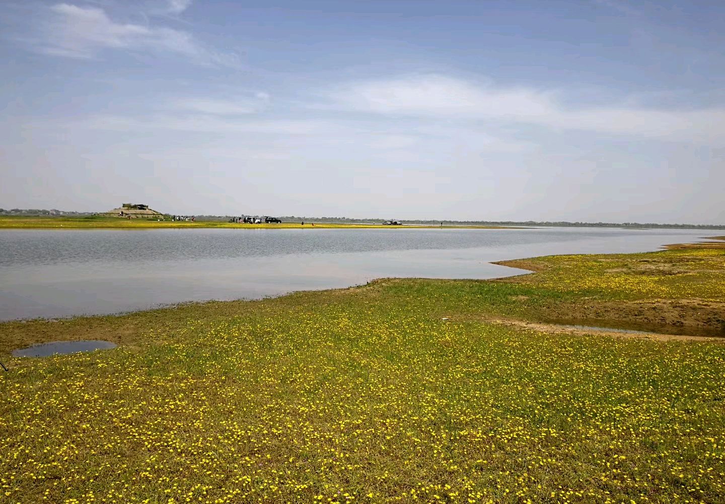 益阳烂泥湖湿地公园图片