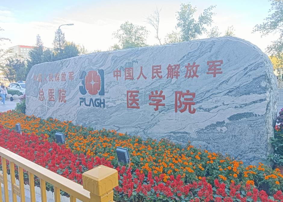 北京302医院、医院陪诊，健康咨询号贩子—过来人教你哪里有号!的简单介绍