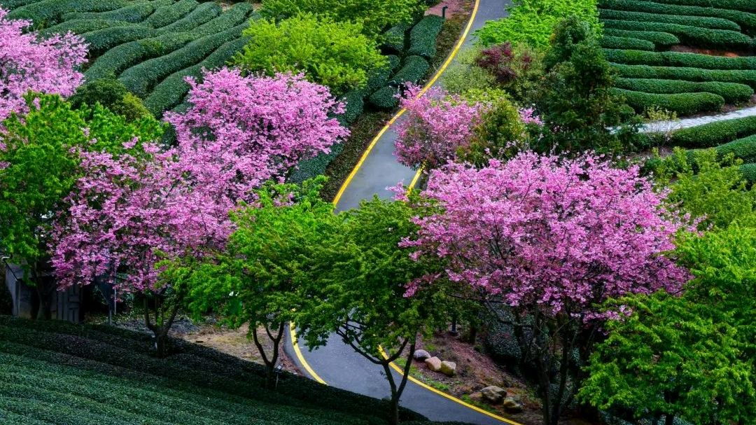 泰山脚下的村庄:宁静的村庄,是我们心灵的家园