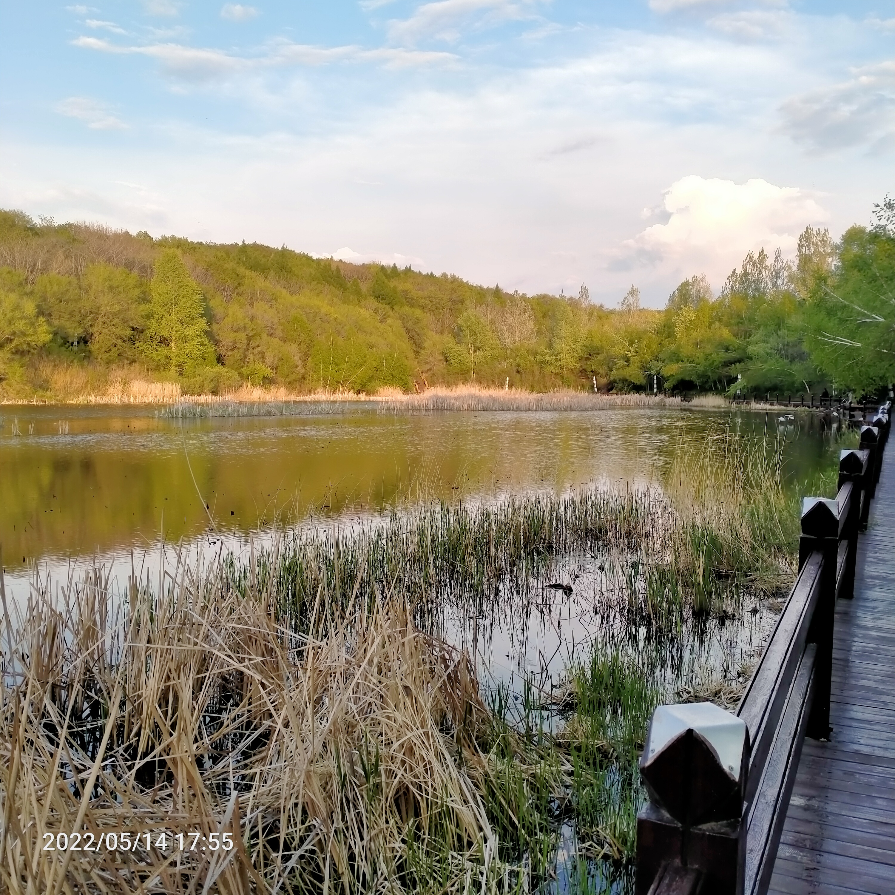 舒兰九龙山森林公园照片