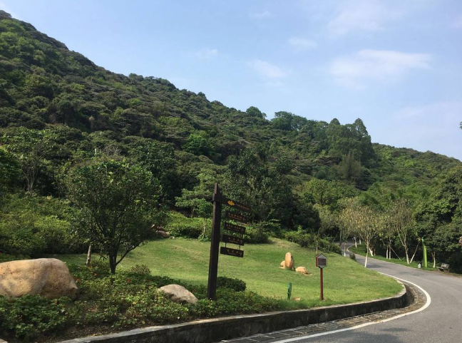 广州"打了一首好牌"!一网红公园"拔地而起",秋景醉人超抢手