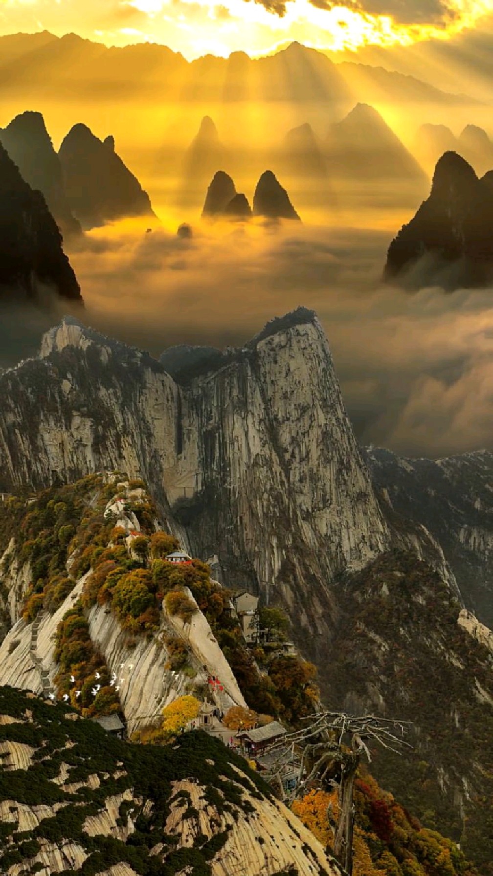 西岳华山不愧为天下第一险,此生要和爱人攀登一次华山看云海,云雾缭绕