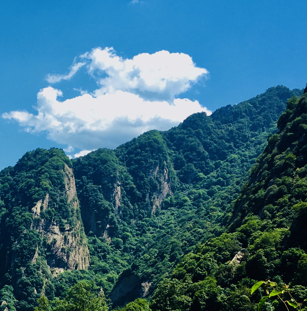 万峰青翠润山水, 思绪激荡抒胸意.#秦岭# #西安本地