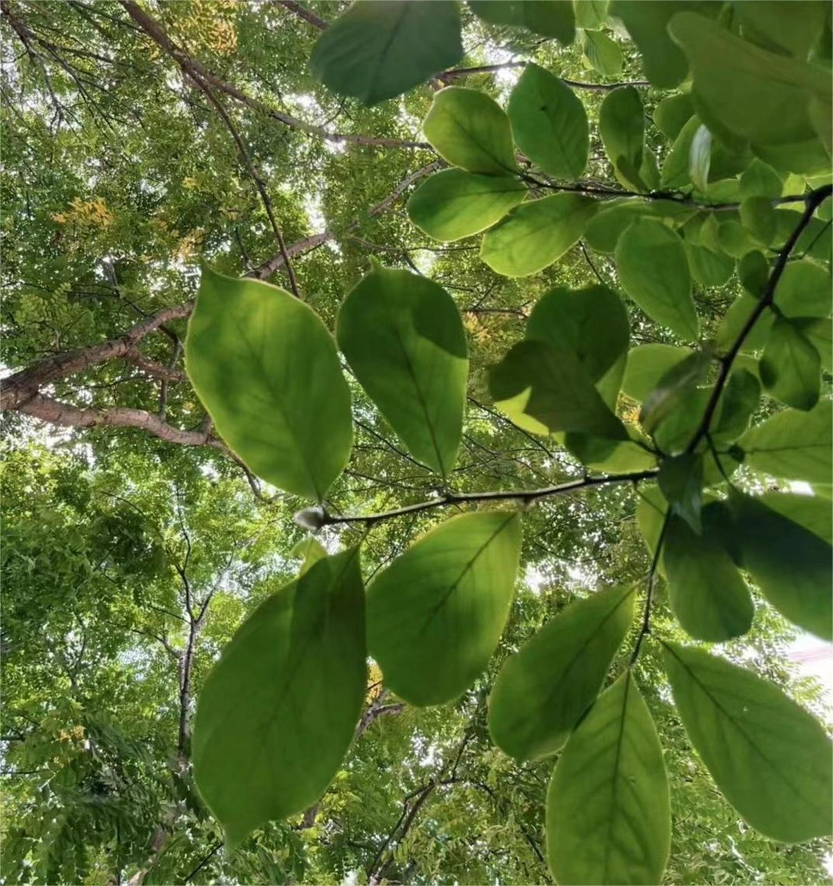 盛夏风景# 如果你也正受着高温炙烤,快来易县山中避暑吧.