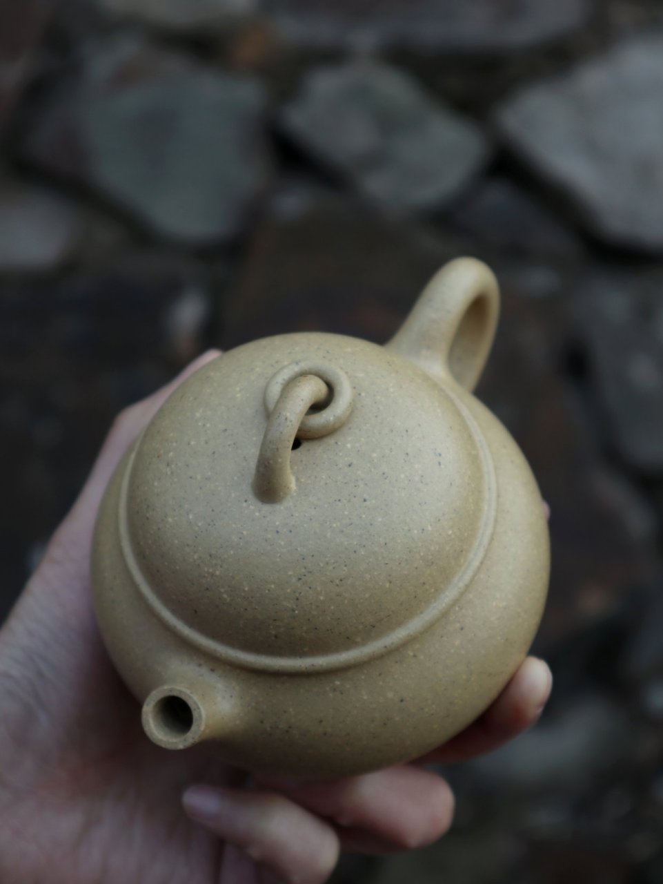 【将军肚|陈婷制 半手工本山绿 200cc#紫砂壶#茶生活