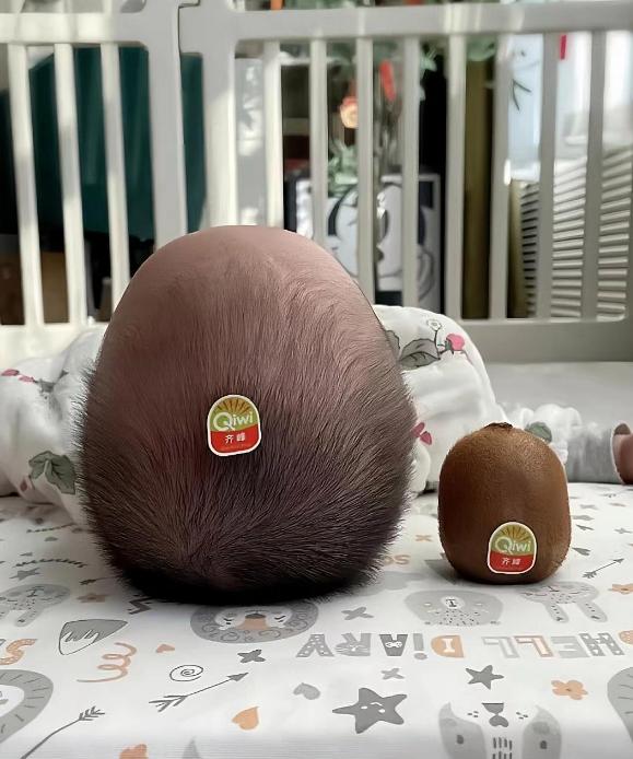 15张神相似的错位图片(第五张让人惊掉下巴,第15张魂都吓掉了)