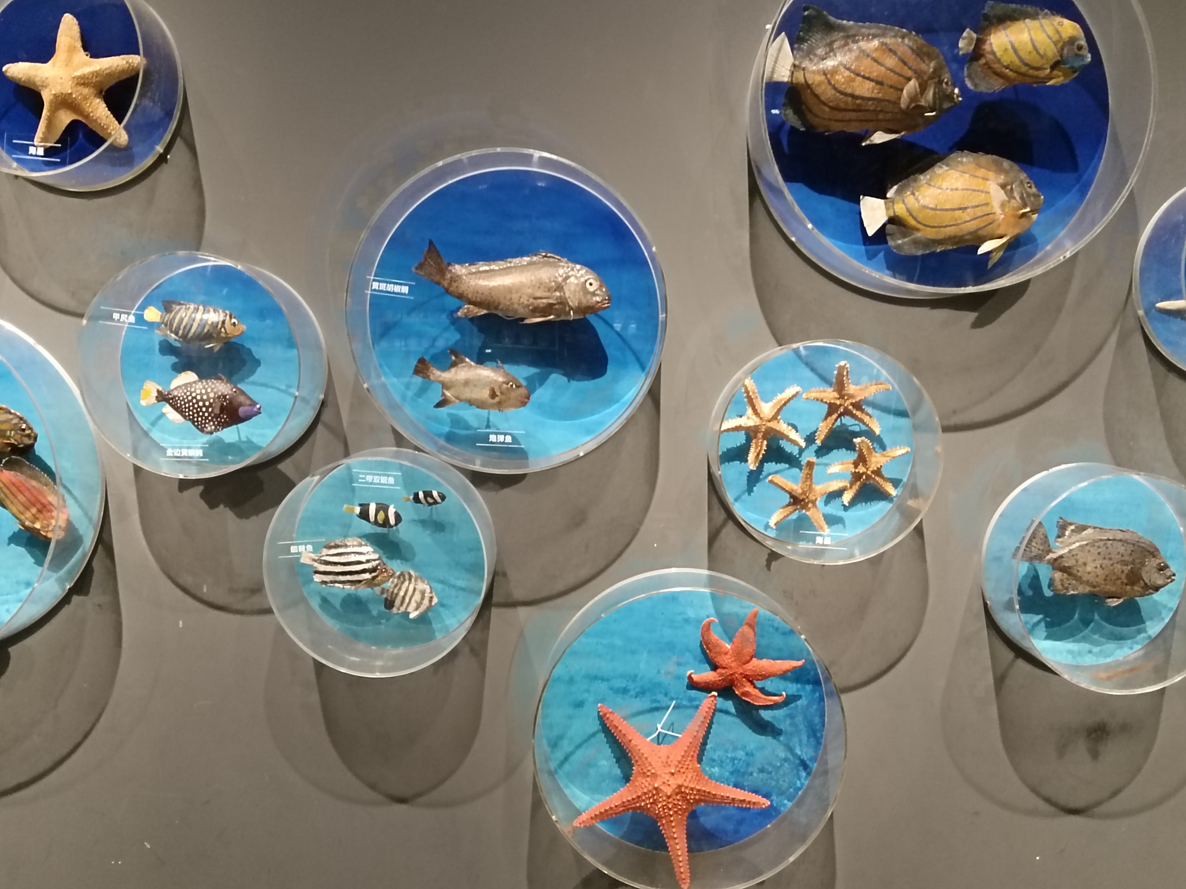 海南省博物馆海捞瓷文物展