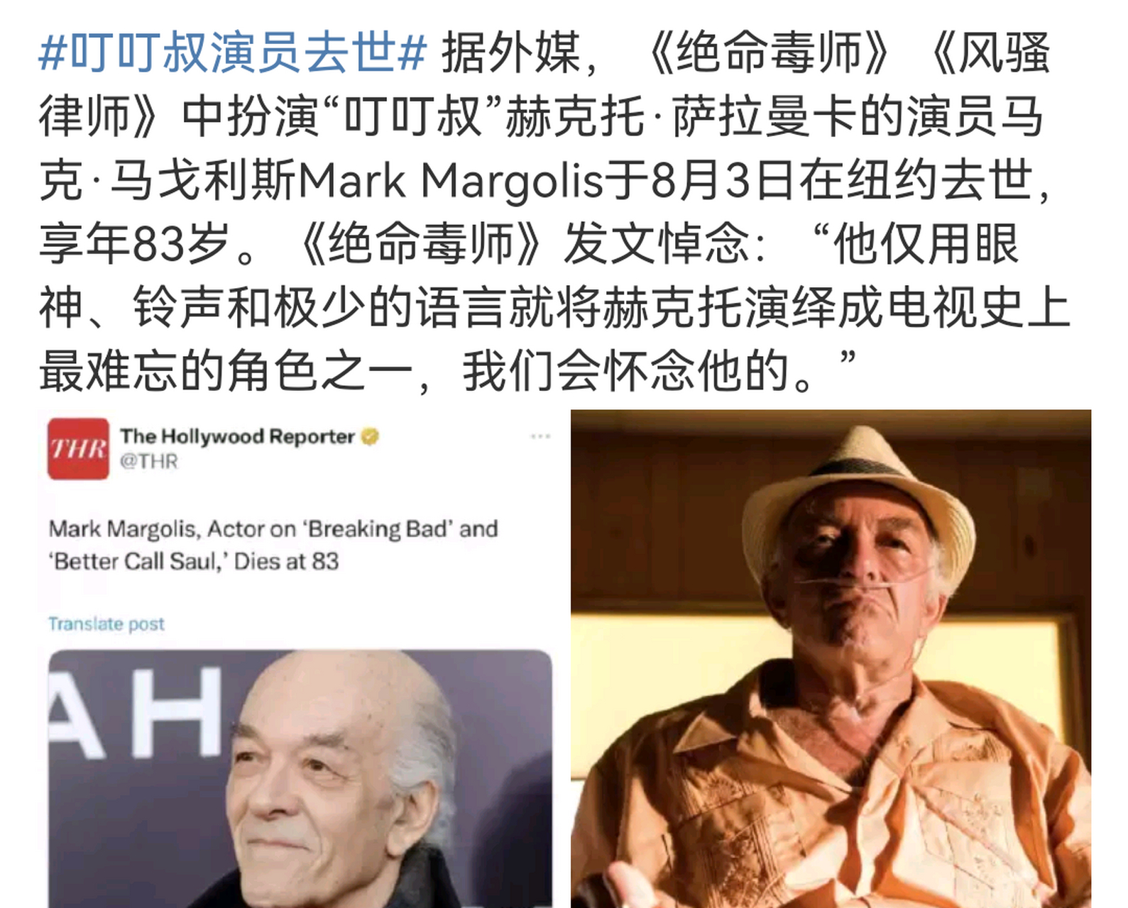 《绝命毒师》"叮叮叔"扮演者马克·马戈利斯mark margolis去世.