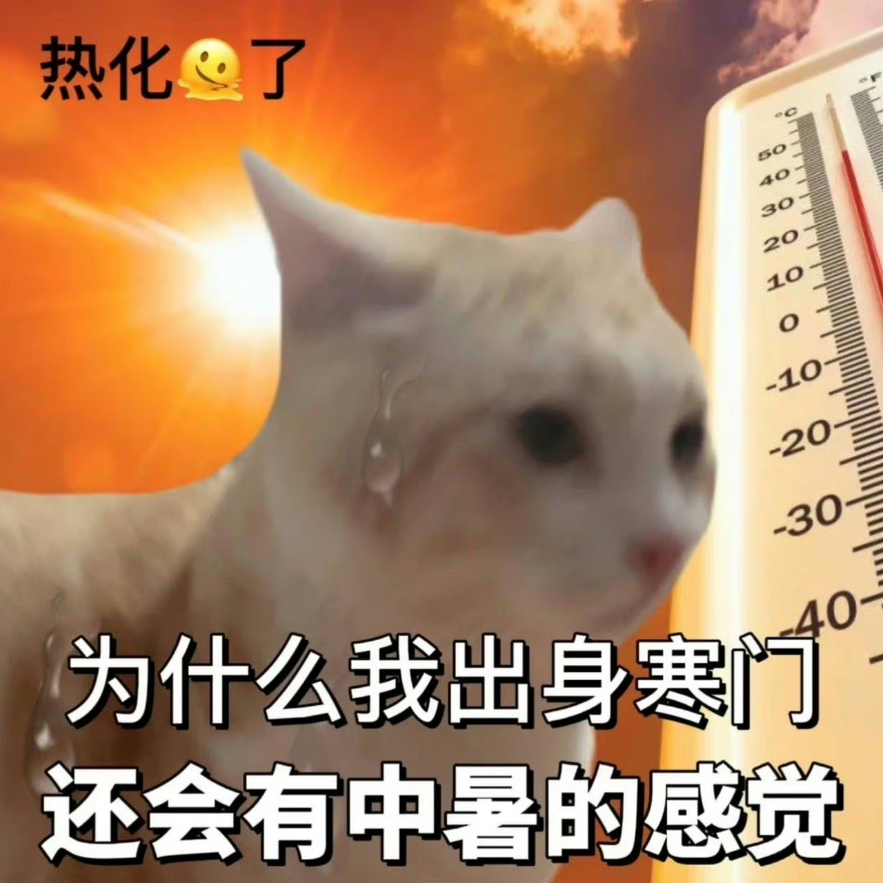 为什么我出身寒门还会有中暑的感觉 67[左捂脸] 网友:为什么我是