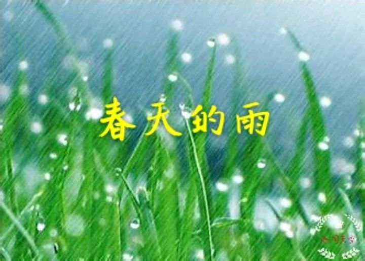 寫景作文:春天的雨