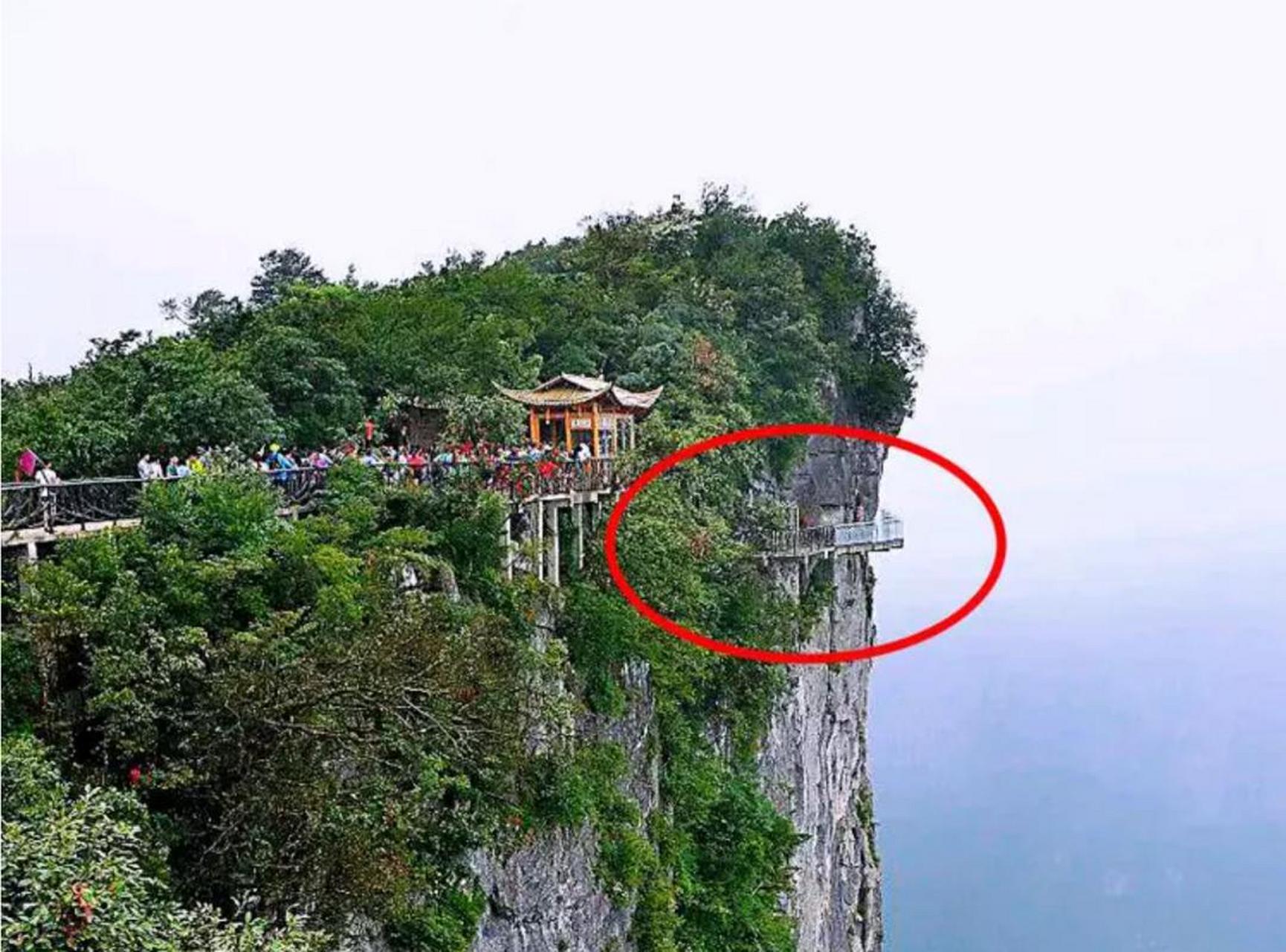 张家界4人跳崖后续来了,多名家属发声,网友:他们有一个共同点 压力大