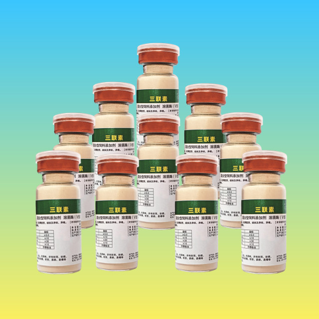 冬季养鸽要记牢 舍内卫生要清扫 保温通风要兼顾 家飞训放要科学 不仅