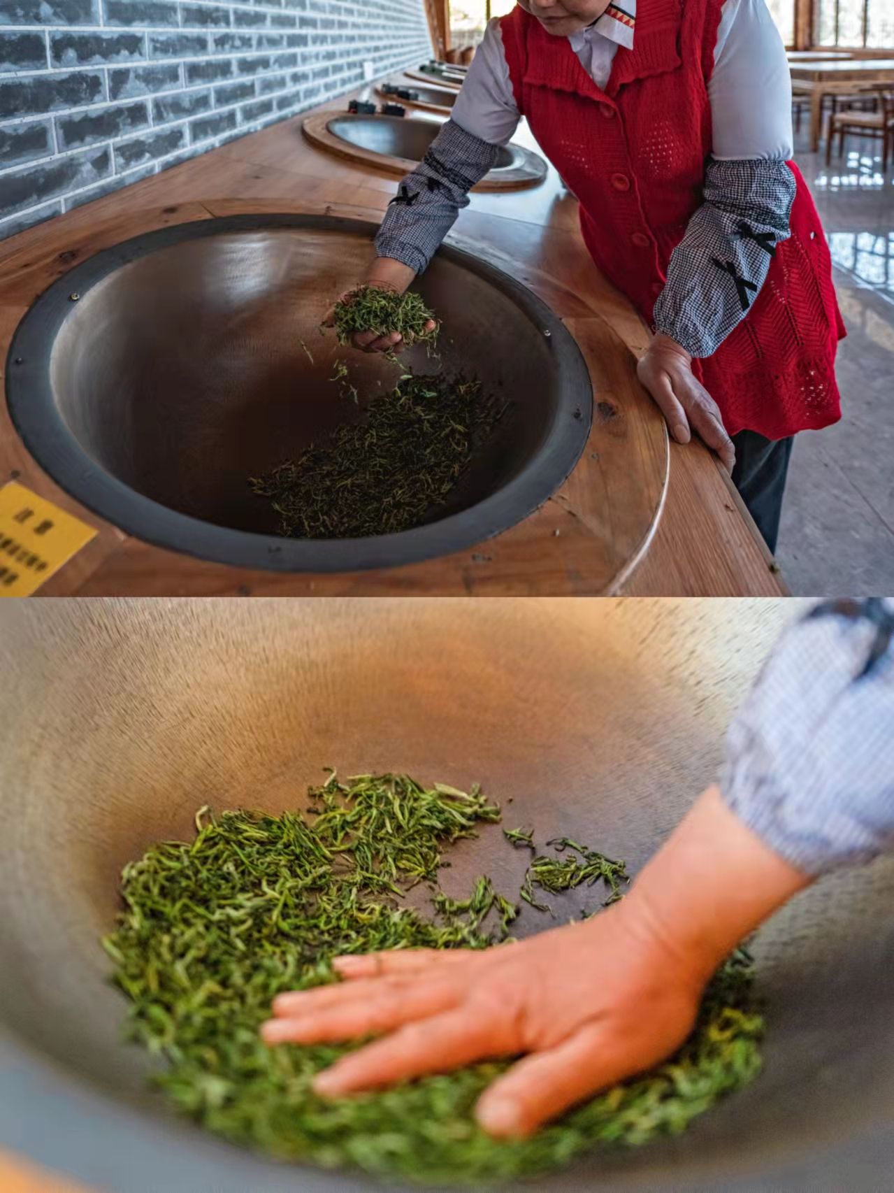 制茶过程图片大全高清图片