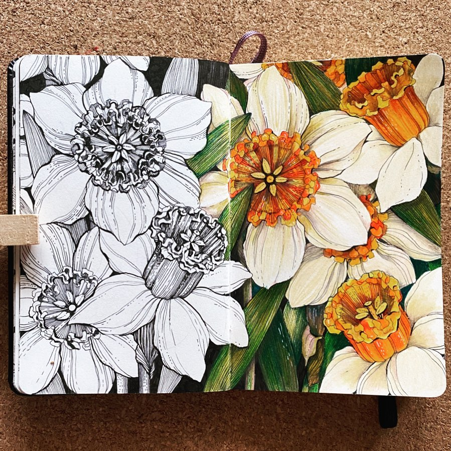 插画分享:线描的魅力,只用一根笔就能描绘出叹为观止的美丽世界