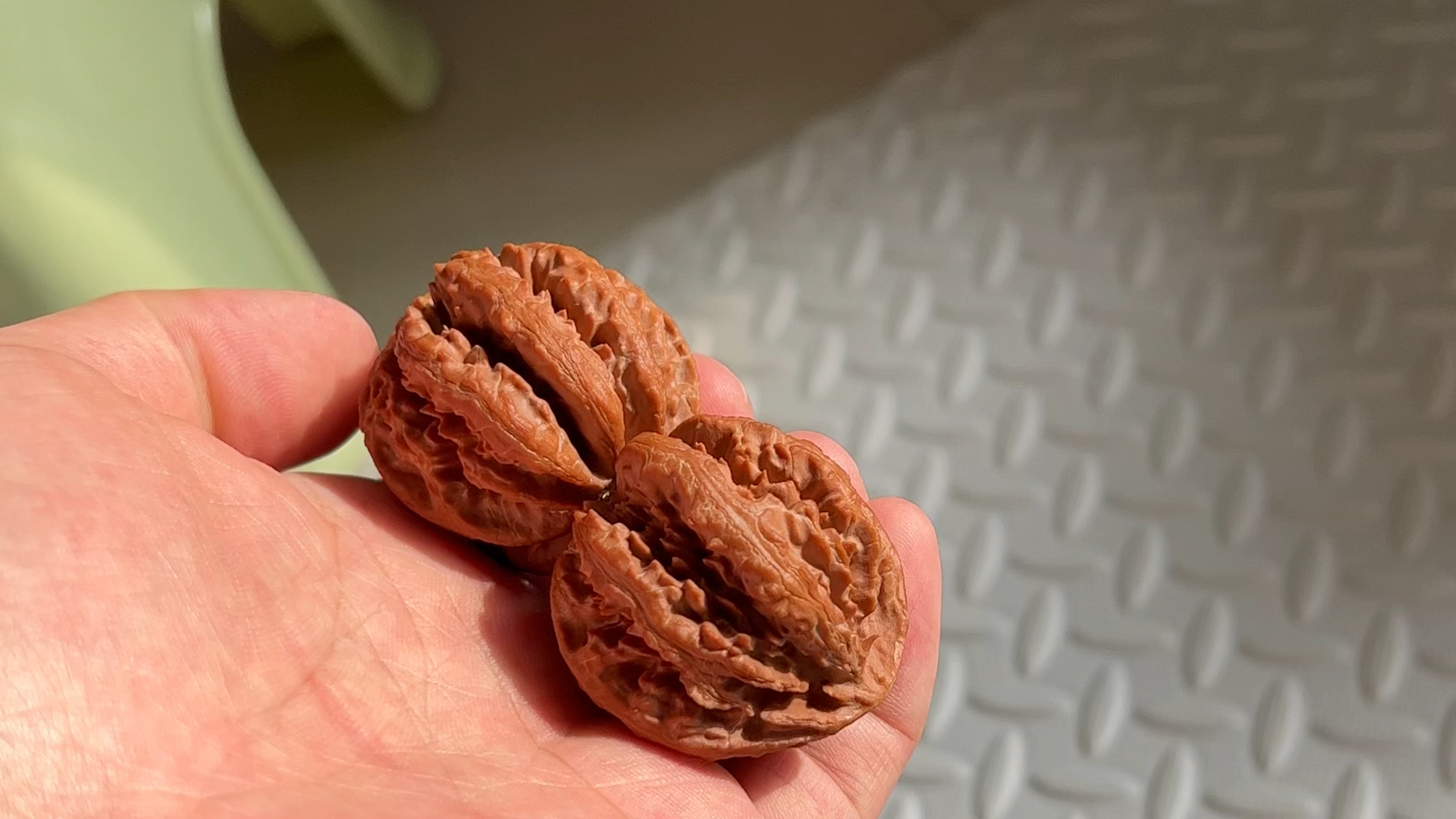 京八棱粗筋霸王龙,不是所有的牛奶都叫特仑苏