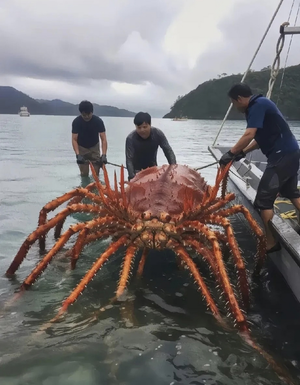 這就是福島核廢水精心培養20餘年的產物?[三哈]