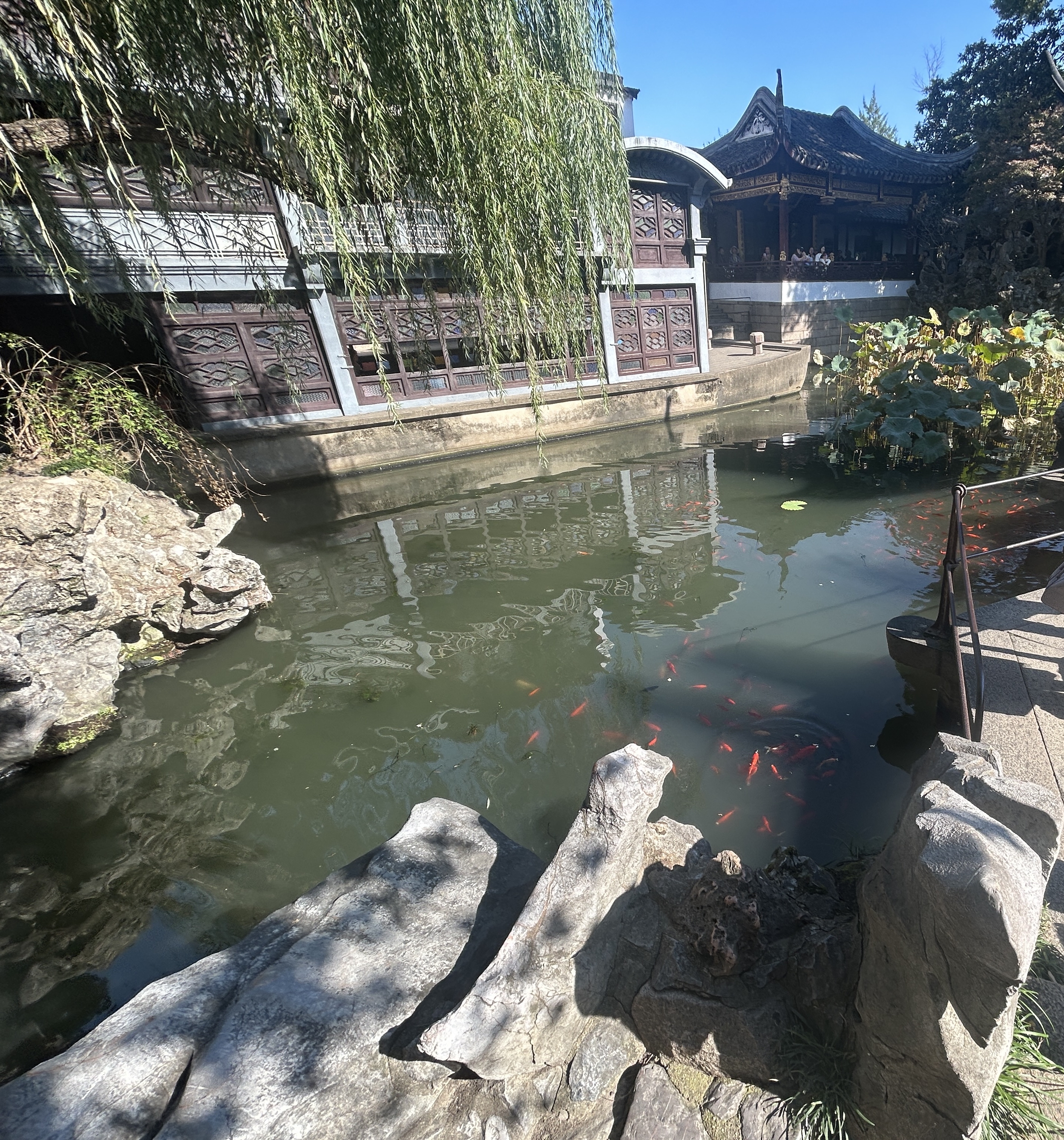苏州狮子林——旅游小攻略