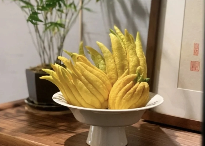 "尝一口三果奇遇,感受鲜果鲜榨汁的独特魅力!