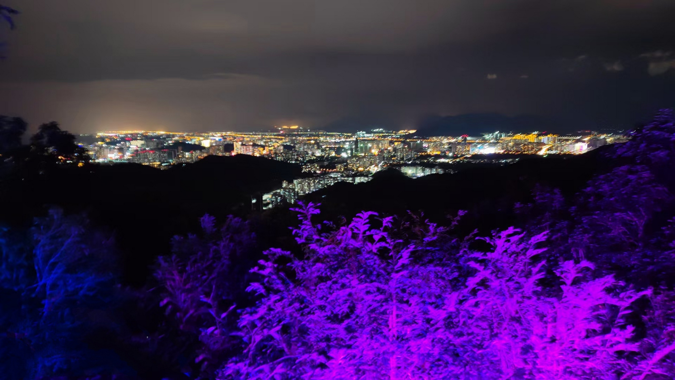 三亚凤凰岭夜景图片图片