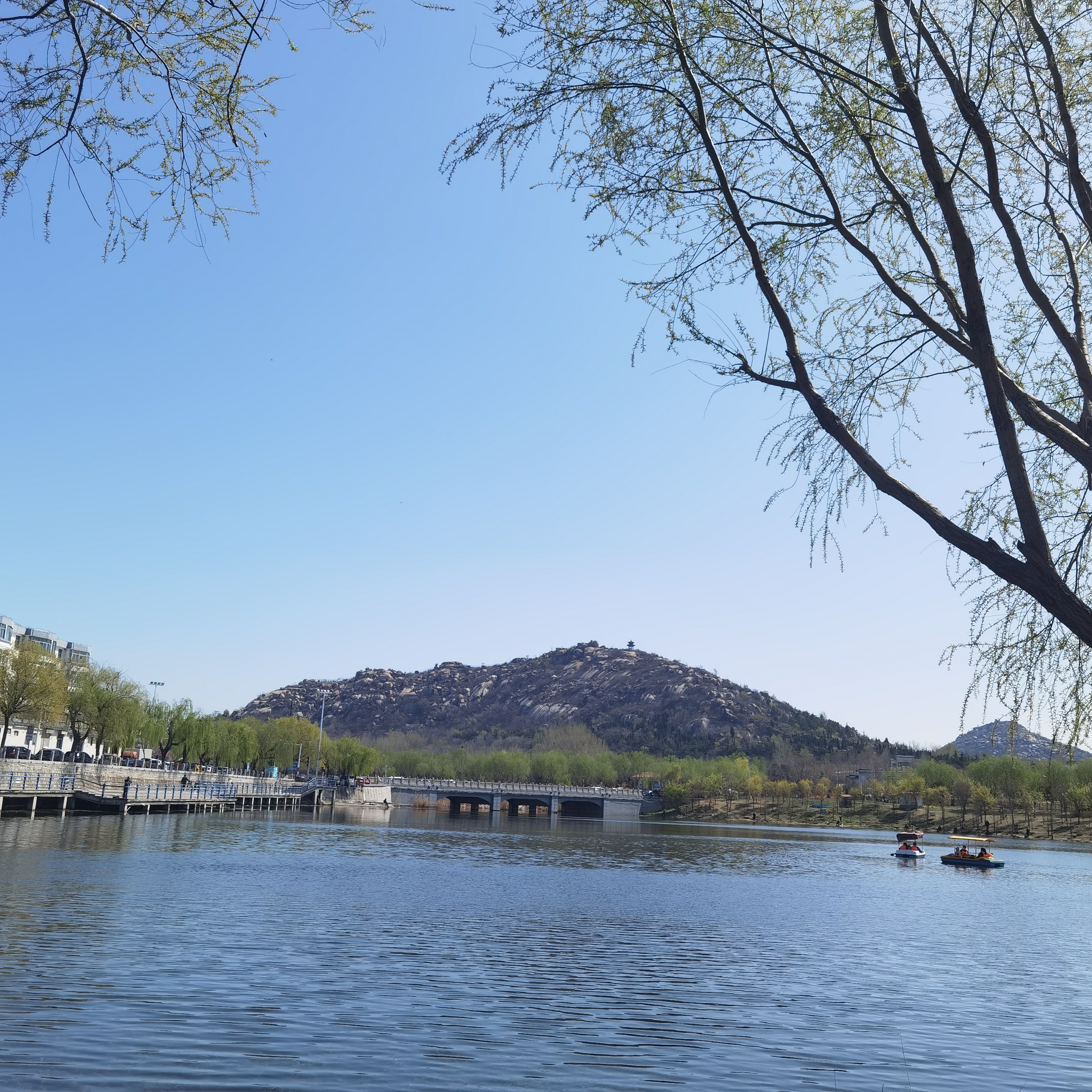 邹城春天里的唐王湖美景