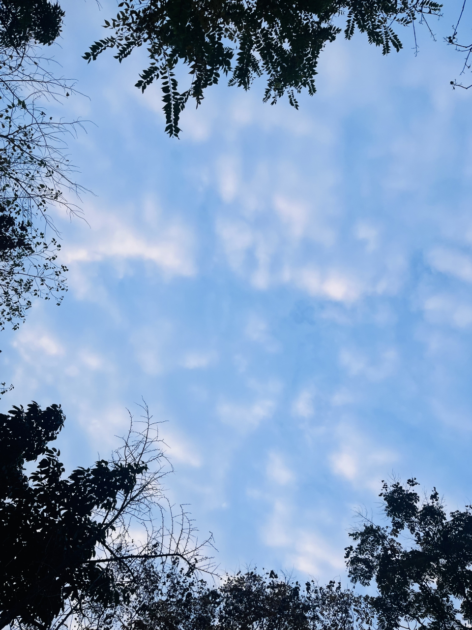 今日湛蓝的天空.