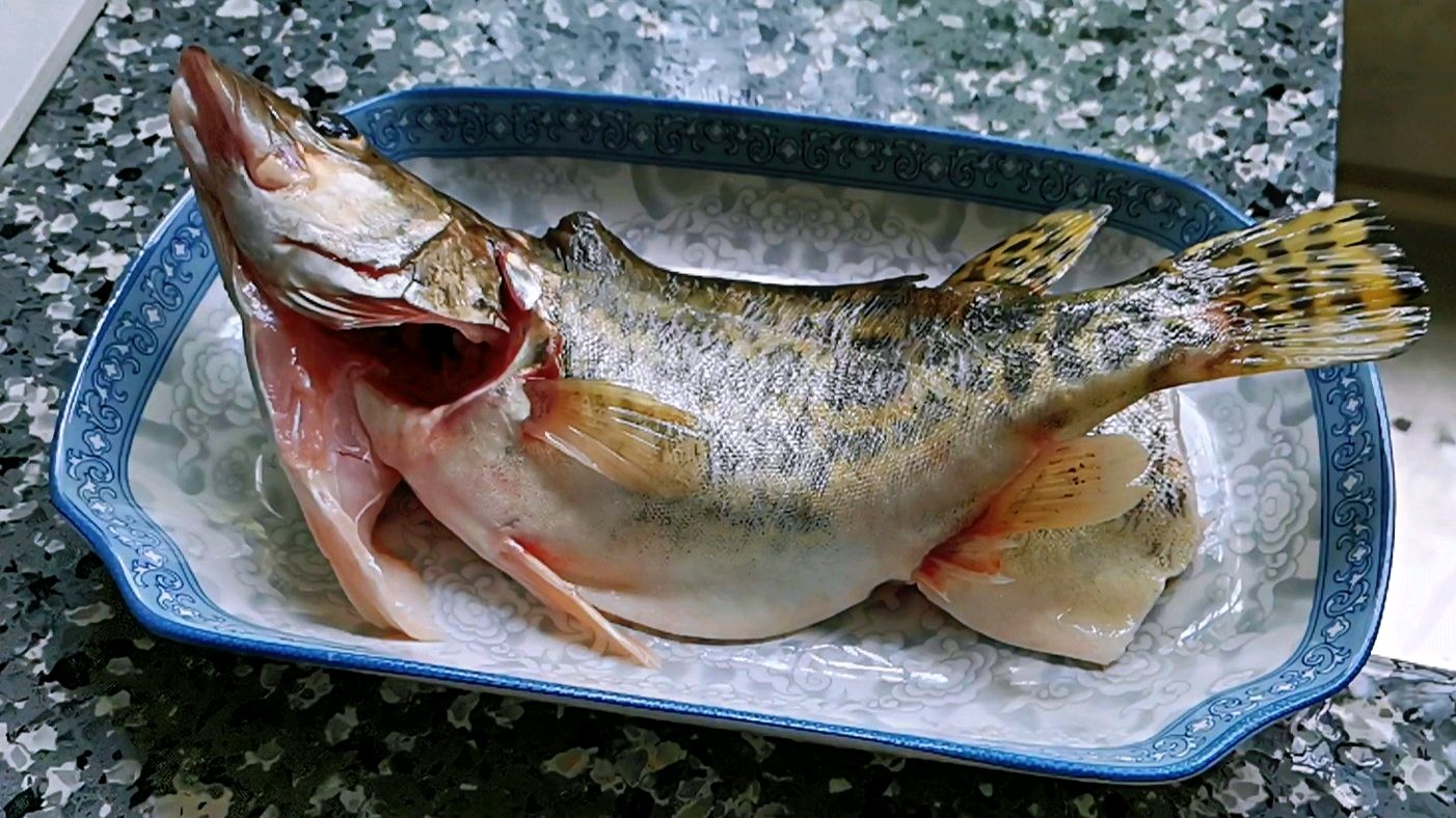 清蒸桂花鱼这样做,简单又好吃,你学会了吗?