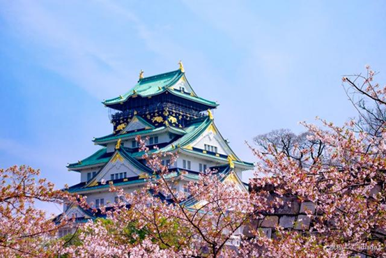 "赤鬼"井伊直政(2)小田原合战:北条氏的灭亡