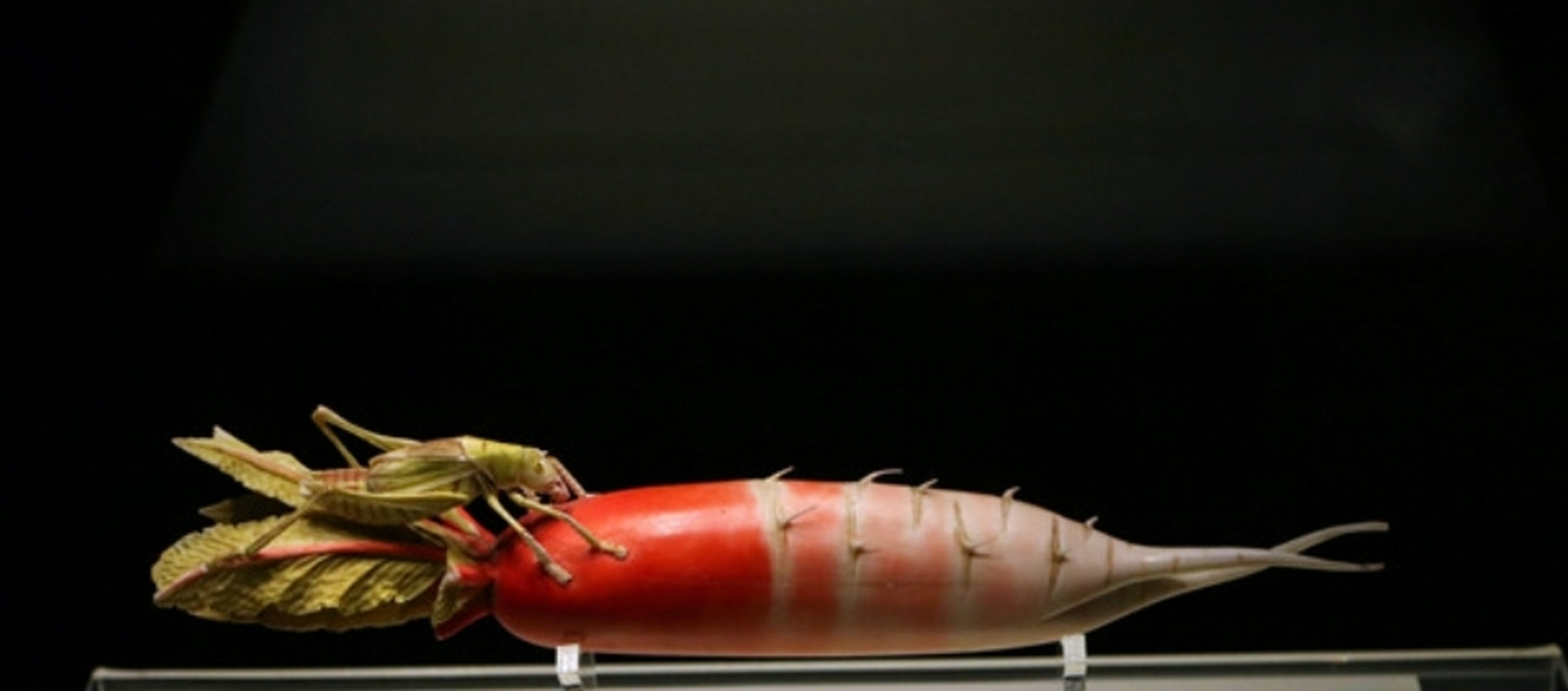 【如果国宝会说话】 象牙萝卜 主体呈粉红色 萝卜缨红茎绿叶 萝卜的