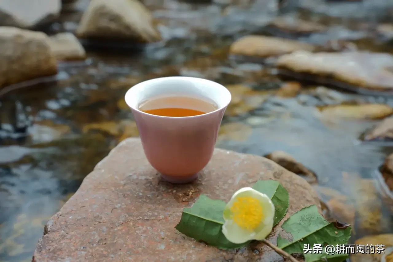 立夏,茶事杂感.