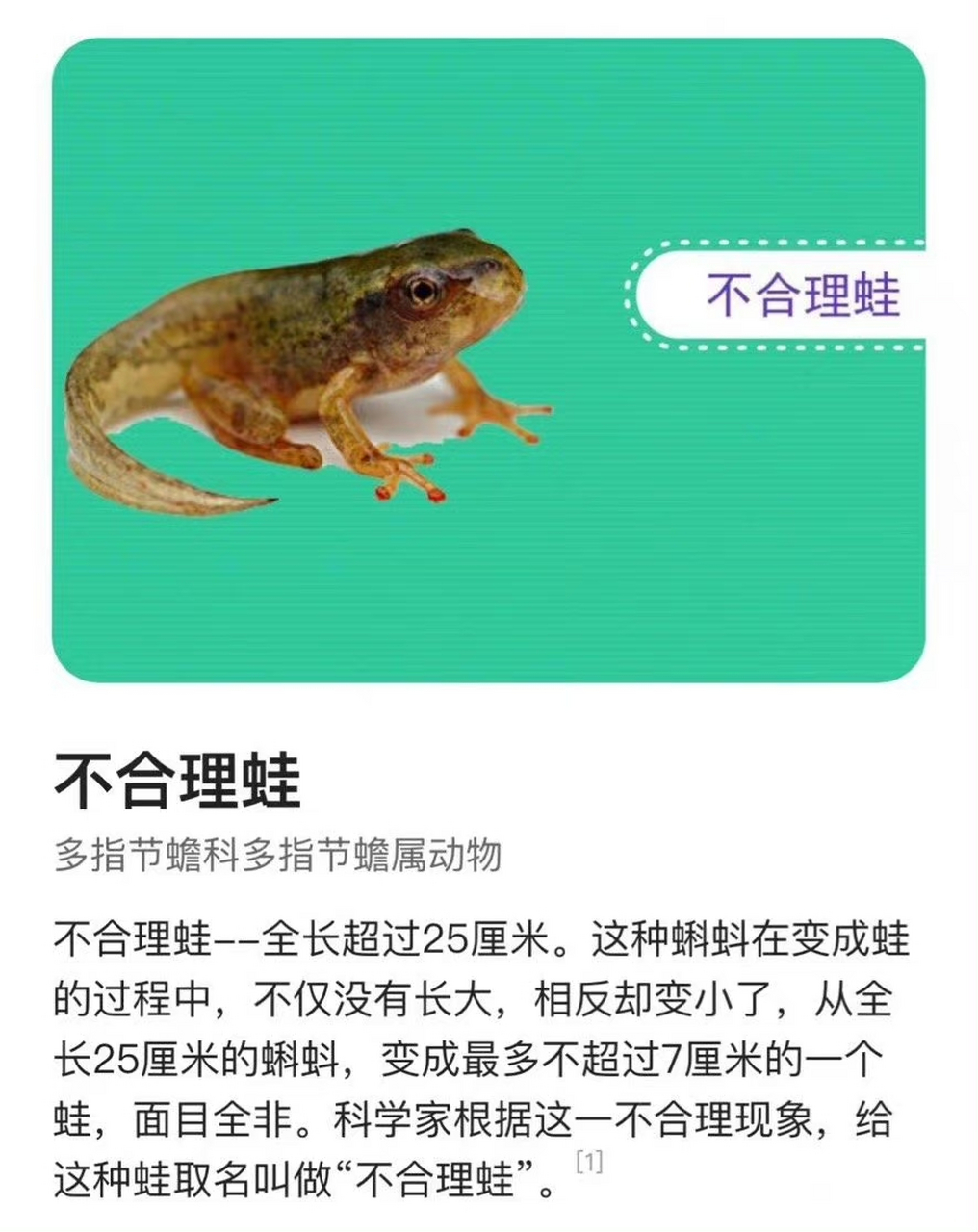 原来还有不合理蛙 67[笑哭] 网友:这是牛蛙的儿子吧!哈哈哈#搞笑