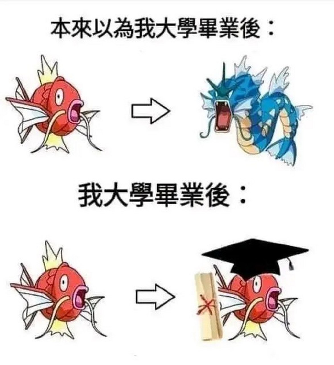 鲤鱼王使用了技能自摸,成功成为了一只摸鱼打工仔