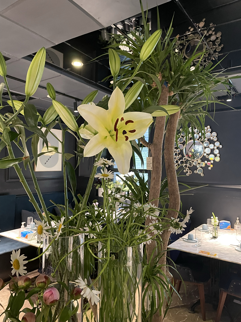 周五的晚餐  昨天下午和先生一起去良子做按摩,完事儿后正好5点.