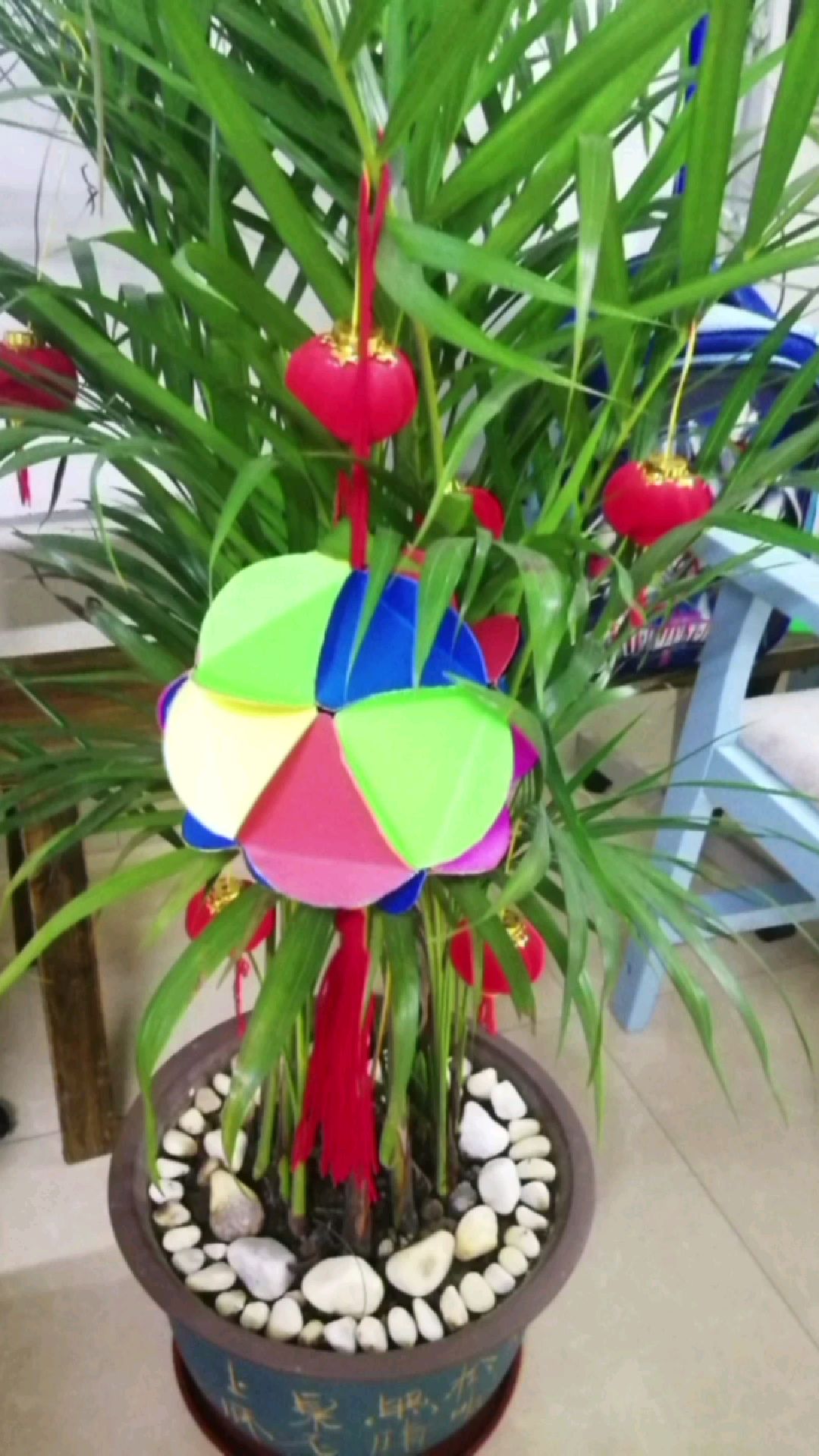 广西三月三的绣球花盛开啦!