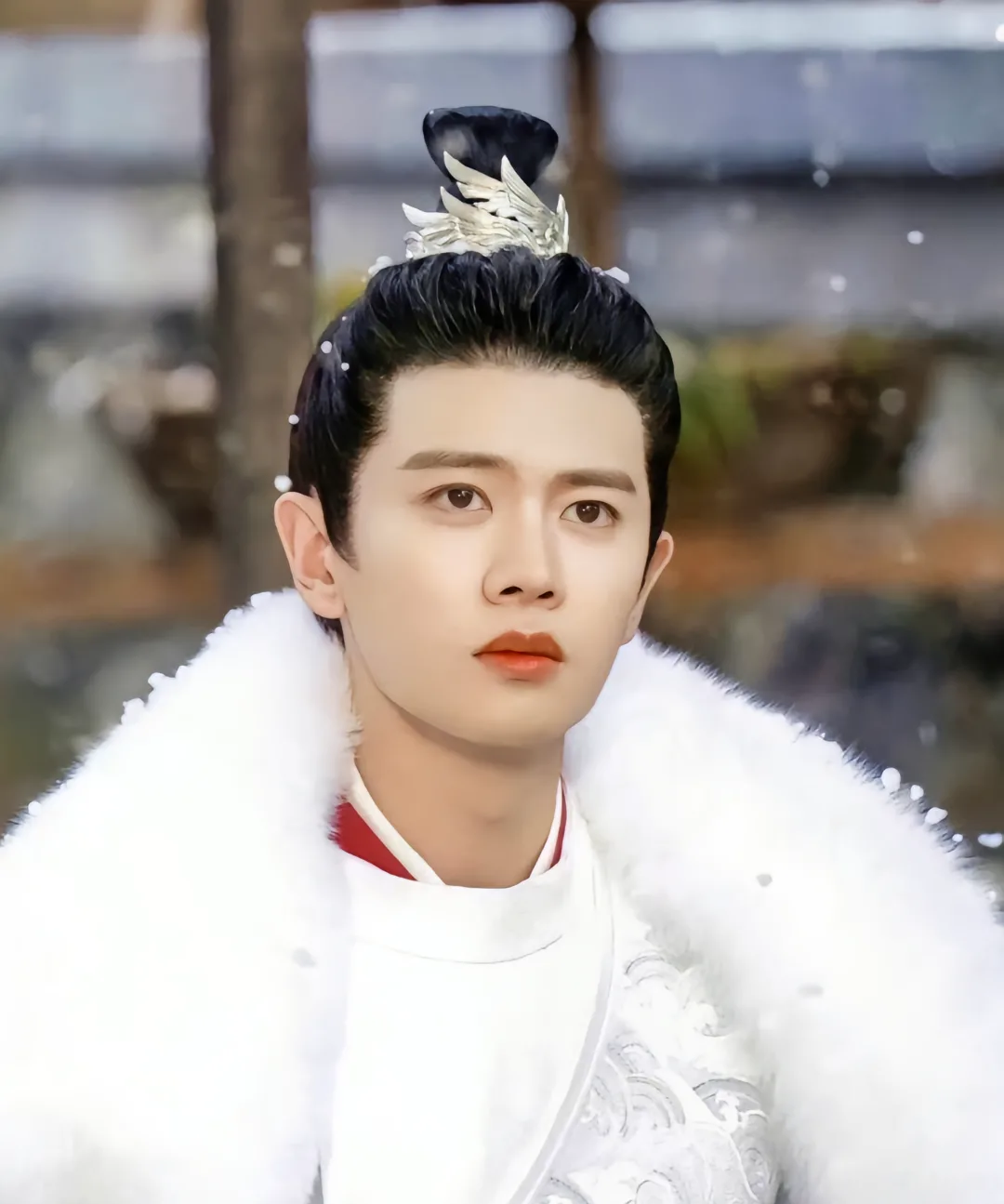 历史上的"周生辰":清河王元怿