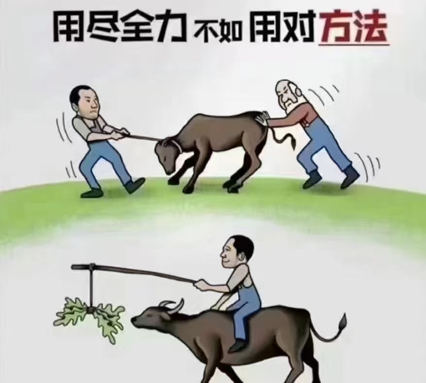 方法不对,努力白费