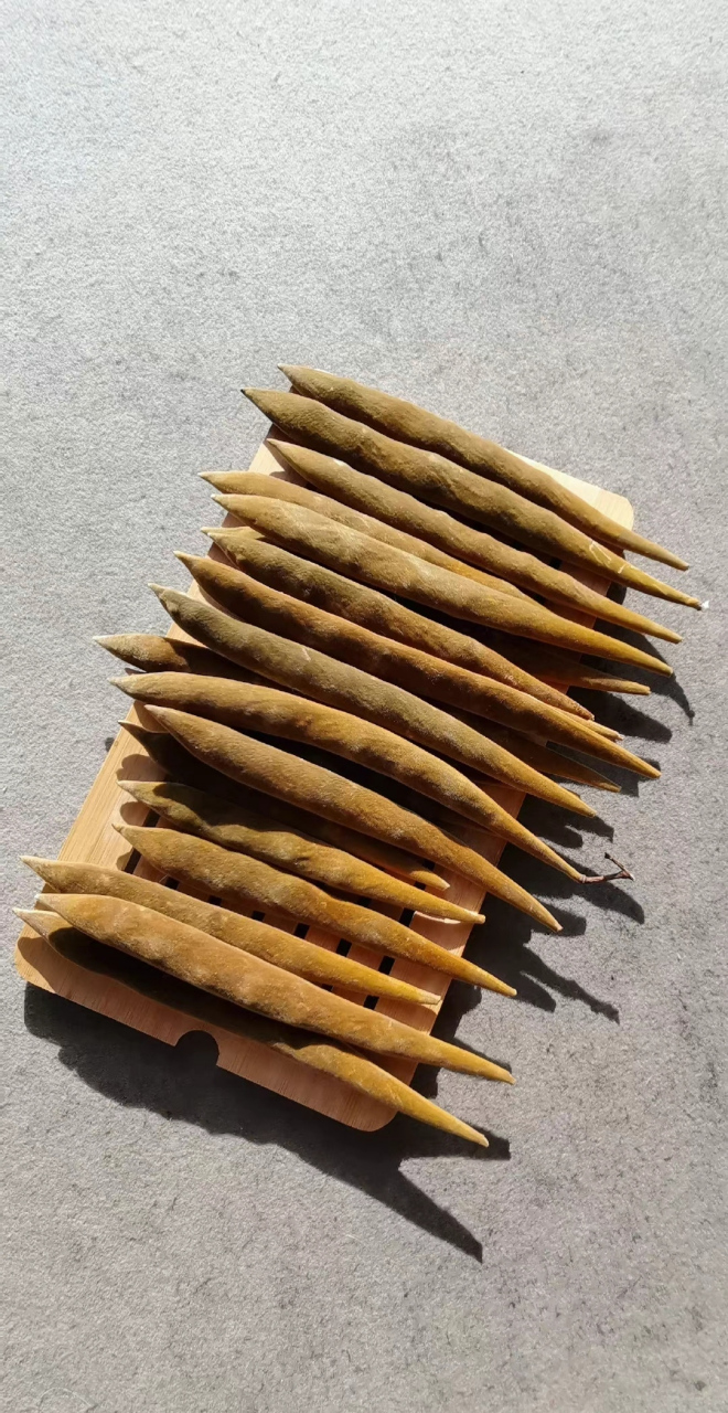 紫藤花和紫藤豆荚,初冬时节,豆荚随风飞落,掉在地上会自然炸开两半