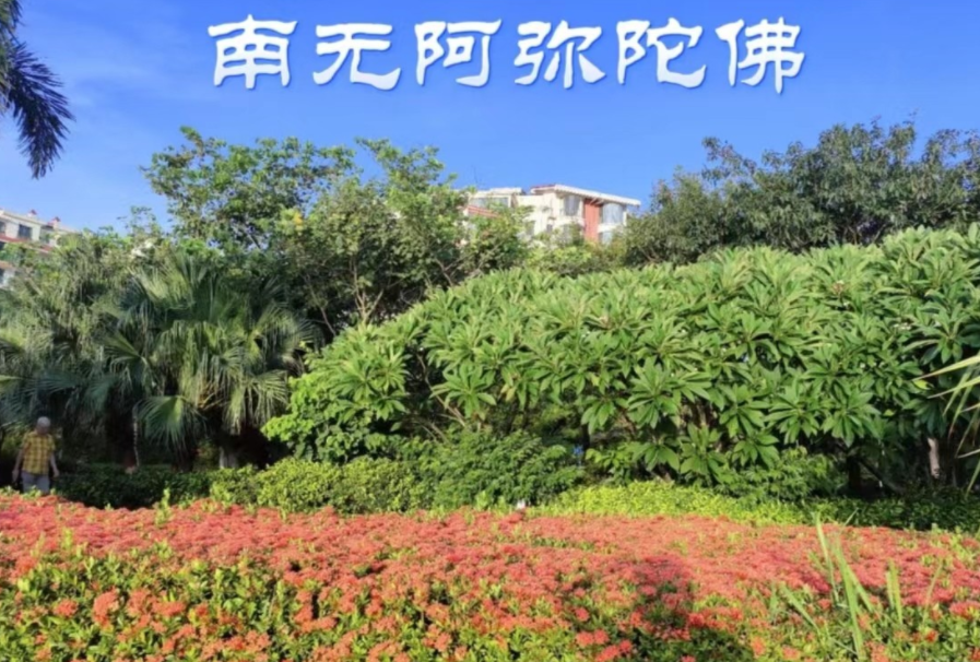 利弗莫尔:成功的交易员,需要投入全部精力,值得去用心领悟