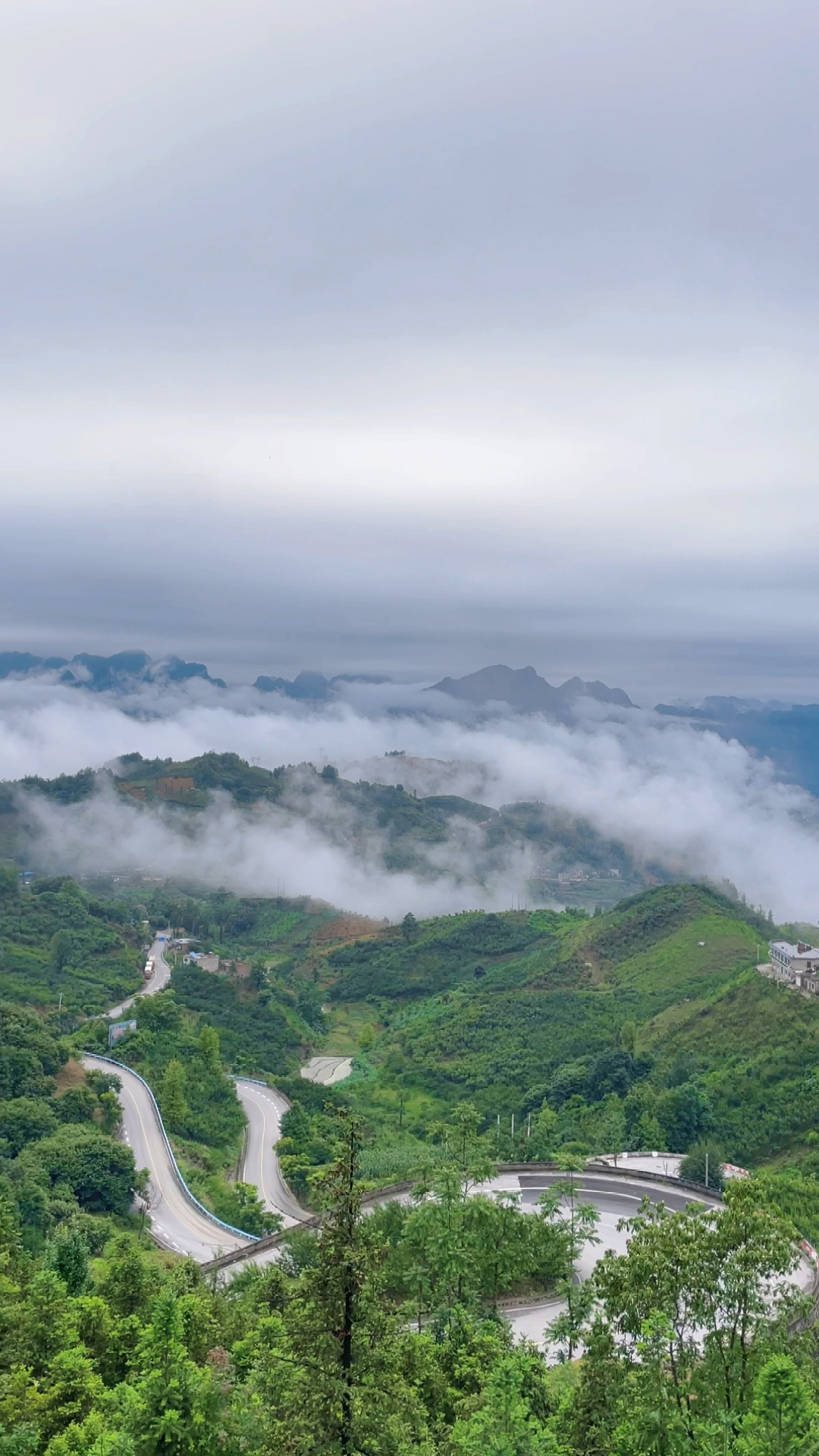 六马镇典型的亚热带低热河谷气候刚刚下过雨的清晨布满了云雾