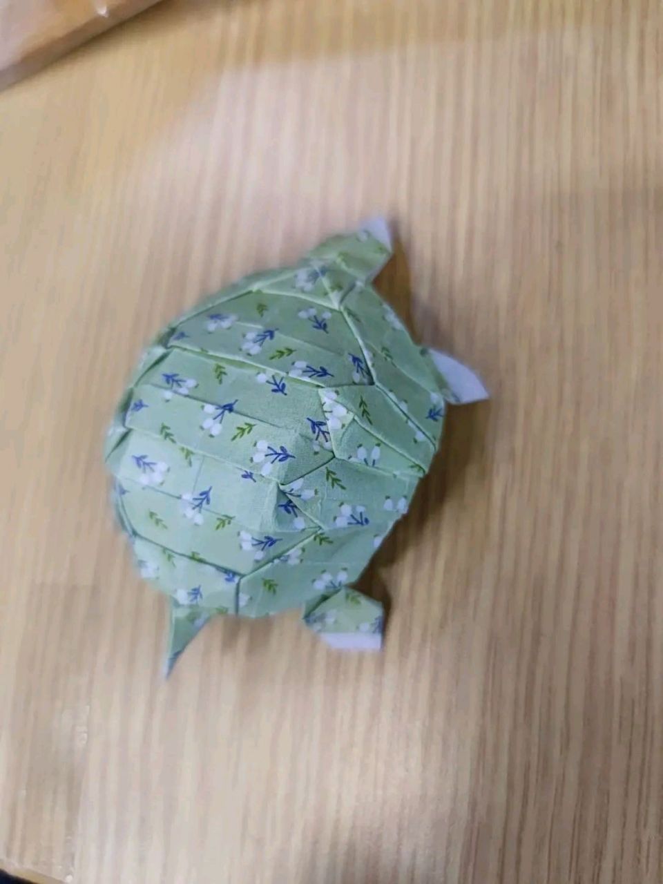 纸折的乌龟,祝刷到的人今年赚200万[左捂脸]