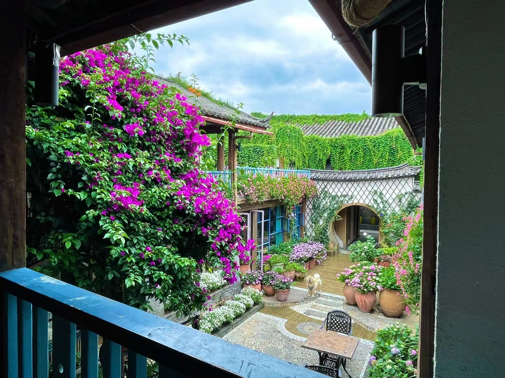 早一步春芽不发 晚一步错过谷花